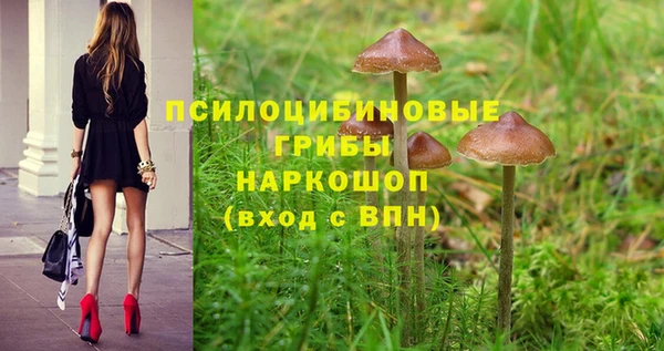 MDMA Армянск