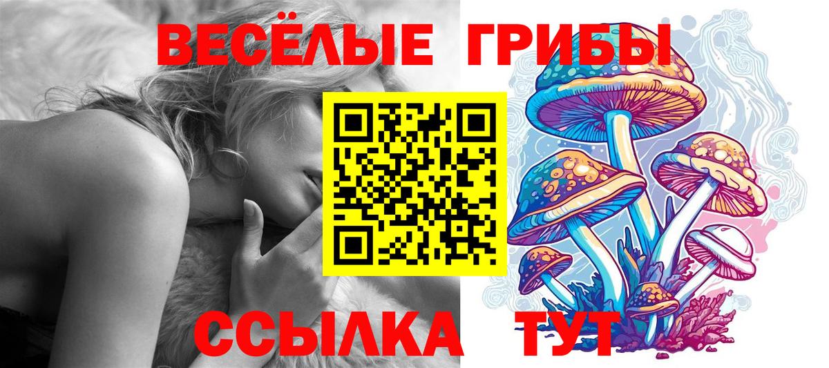 Галлюциногенные грибы мухоморы  Вход с VPN  Коломна 